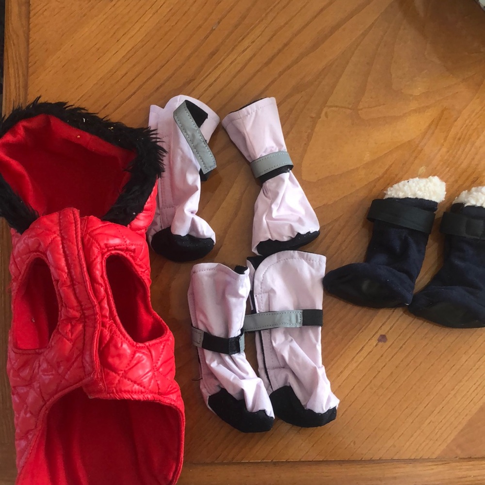 Small dog winter pack